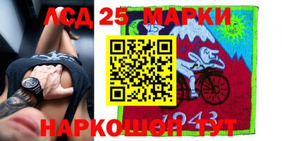 дмт Новокубанск