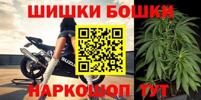 дмт Новокубанск