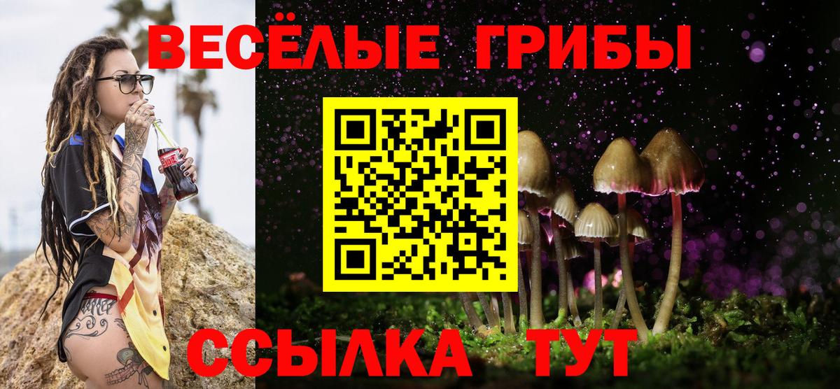 Ставрополь  купить наркотик  Вход с VPN  Галлюциногенные грибы GOLDEN TEACHER 